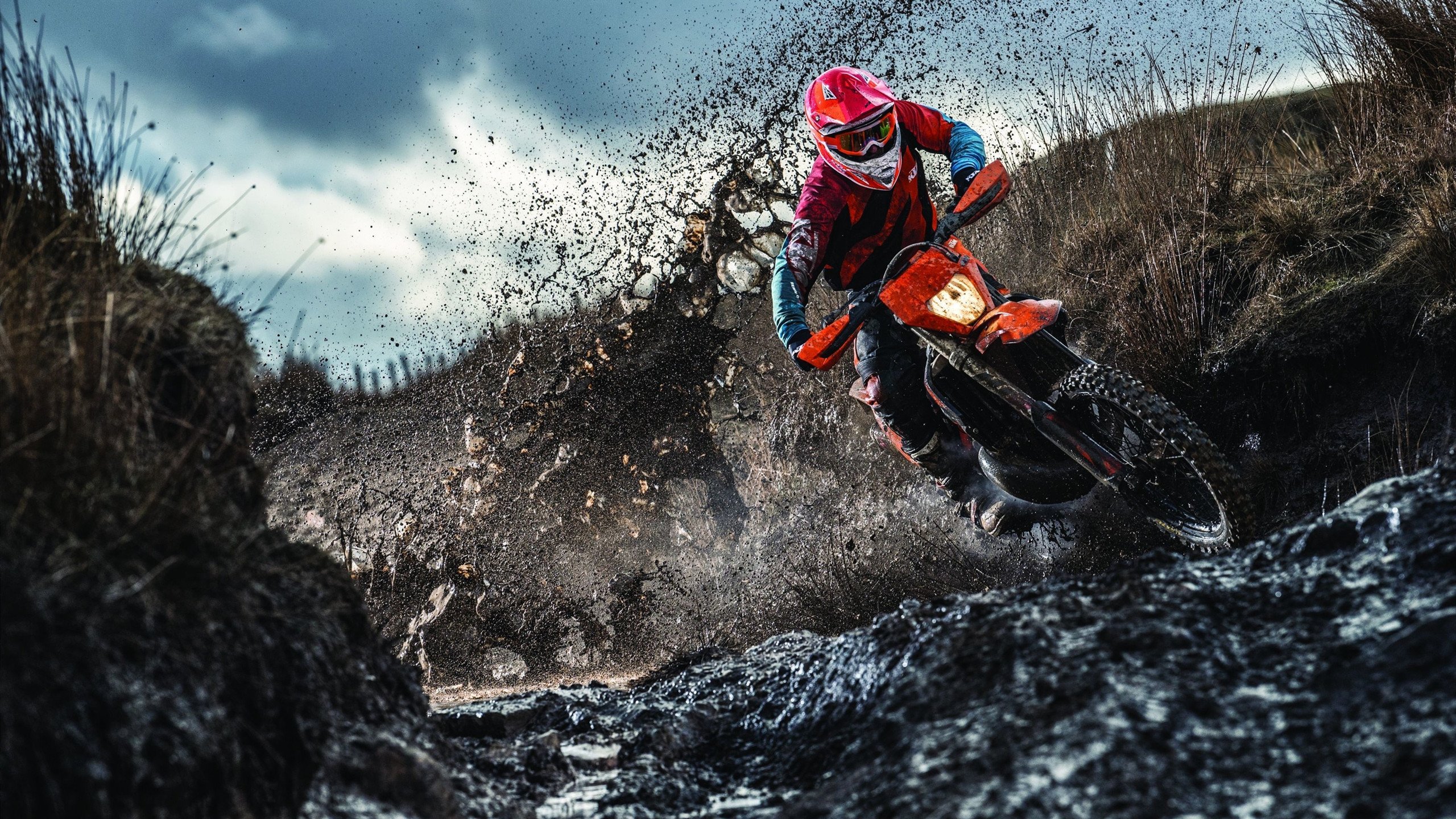 伤停危机球队如何应对主力缺阵，伤停汇总